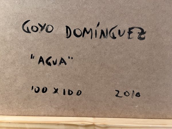 Goyo Domínguez